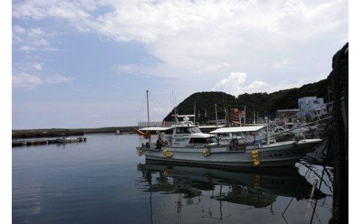 【数量限定】佐田岬海士の黒赤あわび 【4/15～10/25の漁解禁日に合わせて発送】 ※北海道・東北地方・沖縄・離島への配送不可 ※2024年4月下旬～11月上旬頃に順次発送予定