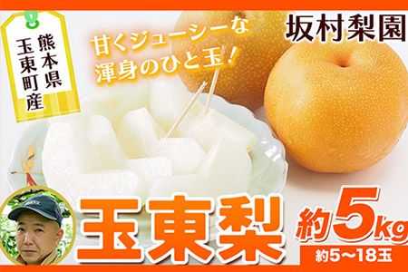 坂村梨園 玉東梨 熊本県玉名郡玉東町 約5kg(5～18玉前後) 梨 なし 果物 旬の梨 《8月中旬-11月上旬頃出荷》豊水 秋麗 あきづき 甘太 新高 新興---sg_cmuranashi_g811_r8_14500_5kg---