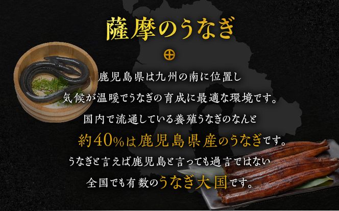 薩摩とろ鰻蒲焼二尾　K190-001