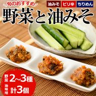 野菜と油みそのセット(旬の野菜2～3種×油みそ3種(ちりめん・油みそ・ピリ辛)各1個)野菜 調味料 味噌 おつまみ トッピング 冷蔵【G-7】【旬鮮かどがわ直売センター】