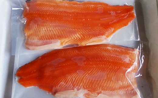 【B-610】 井保水産 ビワマス刺身用 半身（フィーレ）2枚［高島屋選定品］