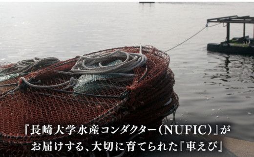 長崎県深江町漁協産車えびおつまみセット（西京漬け、塩糀漬け、しゅうまい）３人前　/ 南島原市 / 三ツ池 [SCK006]