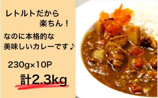 肉屋のまかない豊後牛カレー2.3kg（230g×10P）_1793R