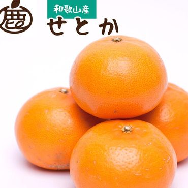 ＜2月より発送＞厳選 せとか1.5kg+75g（傷み補償分）【柑橘・春みかんの王様】【光センサー選果・食べ頃出荷】【2月中旬より発送】  CZ050