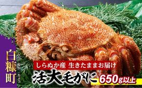 しらぬか産 活大サイズ毛がに【650g以上】