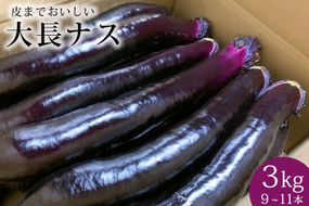 AF003【令和7年度出荷分】皮までおいしい！島原 大長ナス 3kg（9～11本）