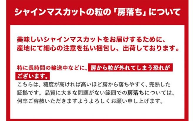 【先行予約】訳あり シャインマスカット  約5kg《2024年9月中旬～11月中旬頃に出荷予定(土日祝除く)》岡山 シャインマスカット 訳あり ぶどう ブドウ マスカット フルーツ 果物 数量 限定 岡山県産 ぶどう ブドウ ご家庭用 矢掛町---ofn_cwsm_q911_23_41000_5kg---