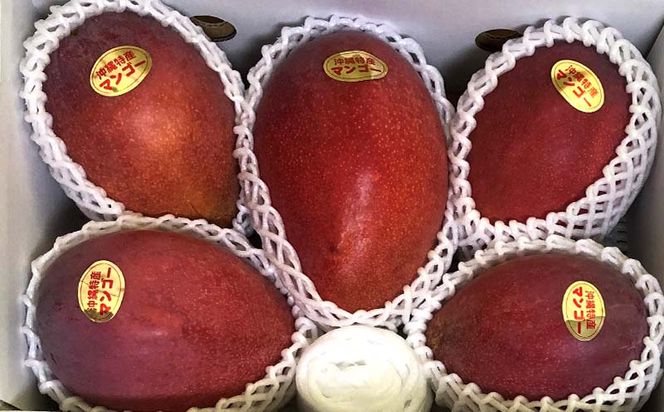 【先行受付】【2024年発送】とうはらマンゴー園の美味しいマンゴー秀品　約2kg