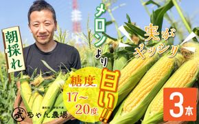 【2025年発送】朝採り直送 メロンより甘い 生とうもろこし“にっこりコーン” 3本 H095-028