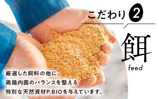 【定期便12ヵ月】《毎月10日お届け》御殿たまご 赤たまご 24個入（破損保障含む）（6個入モウルドパック×4P入） ｜ 卵 タマゴ 玉子 たまごかけご飯 生卵 鶏卵 卵焼き 国産 御殿場産 ※北海道・沖縄・離島への配送不可