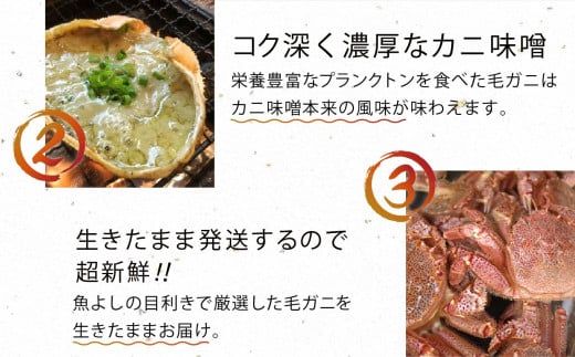 【令和8年発送】三陸産！活毛ガニ 300g相当×1～100杯【2026年2月〜4月発送】【配送日指定不可】【0tsuchi01297】【08】
