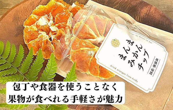 ドライフルーツ みかんチップ 100g ( 20g × 5袋 ) 和歌山県産 果物使用 自社製造 【みかんの会】 AX151