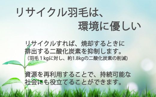 【16.5-1】ザ・羽毛布団 リサイクルダウン ロイヤルグリーン クイーン 210×210cm リサイクルホワイトダックダウン70％ 羽毛 掛け布団 立体キルト　251-000376-20