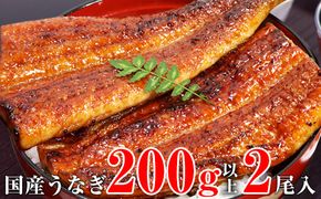 113.【うなぎ屋かわすい】超特大国産うなぎ2本セット(1尾：200~229g)(A113-1)