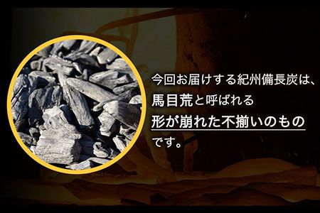 紀州備長炭 馬目荒 約15kg 株式会社紀 《30日以内に出荷予定(土日祝除く)》 和歌山県 日高川町 備長炭 炭 プロの 料理人 愛用---wshg_hjm4_30d_23_55000_15kg---