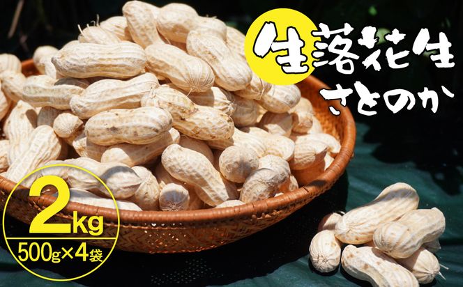 生落花生 さとのか 2kg 高鮮度保持フィルム使用 耕地の美味しい野菜シリーズ第5弾 H132-029