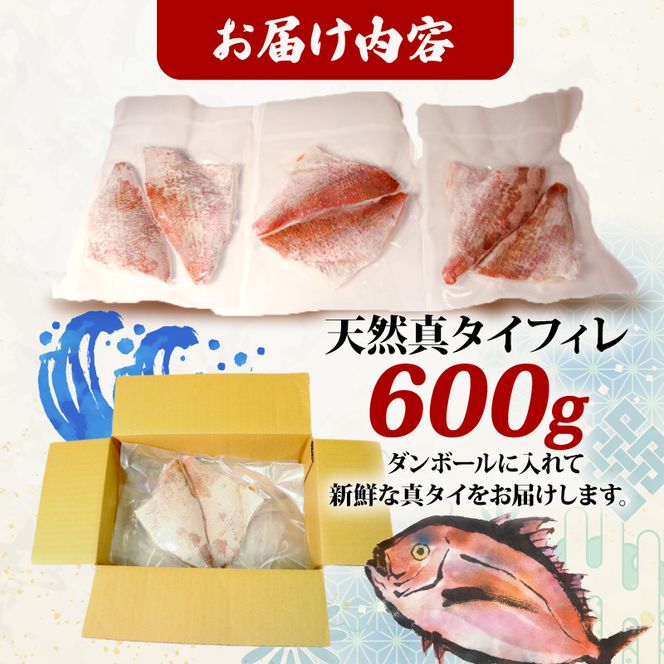 天然真タイフィレ600g ｜ 魚 魚介 刺し身 冷凍 焼き物 小分け ご飯のお供 1万円 10000円 三陸産 岩手県 大船渡市 【kouyou009】