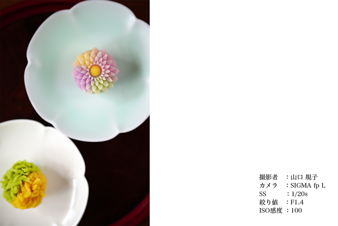 SIGMA 50mm F1.4 DG DN | Art【Lマウント】