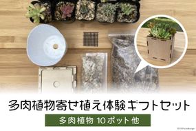 安心やすらぎ共和国 OASIS REPUBLIC -SUNAGAWA BASE- 片桐農園×空知単板工業 『多肉植物寄せ植え体験ギフトセット』 [オアリパ 北海道 砂川市 12260374]