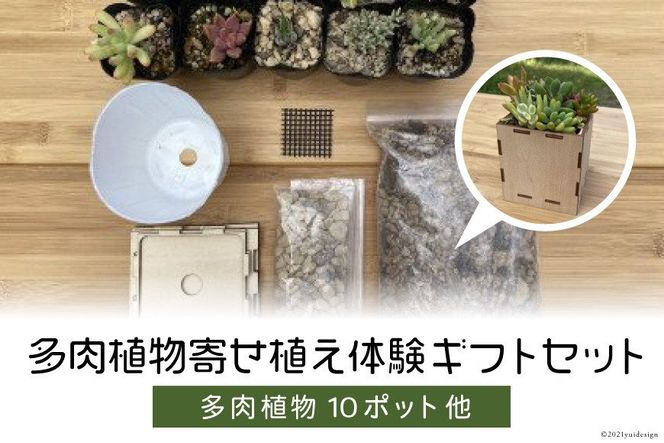 安心やすらぎ共和国 OASIS REPUBLIC -SUNAGAWA BASE- 片桐農園 安心やすらぎ共和国 OASIS REPUBLIC -SUNAGAWA BASE- 片桐農園