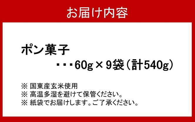 昔なつかしのポン菓子 60g×9袋 計540g_2384R