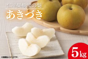 【先行予約】【数量限定】仁平果樹園の梨 「あきづき」5kg (8個～14個)(9月中旬より順次配送) | 果物 新鮮 フルーツ ギフト 梨 ナシ 益子町産梨 甘い あまい 糖度11.5以上 糖度保証 果汁 果肉 栃木県 益子町 (DB003)