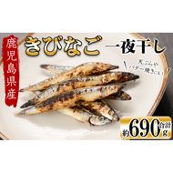 鹿児島県産 黒潮の恵み！天然物きびなご一夜干し約230g×3パック（合計約690g）a3-191