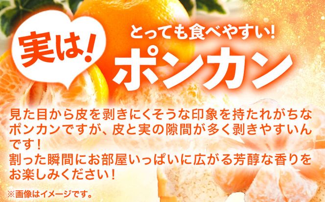 【先行予約】紀州和歌山有田産ポンカン5kg 株式会社魚鶴商店《2026年2月上旬～3月中旬頃出荷予定》和歌山県 日高町 ぽんかん フルーツ 柑橘---wsh_uot97_2j3c_25_16000_5kg---