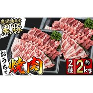 ＜入金確認後、2週間以内に発送！＞鹿児島県産黒豚焼肉セット(計2kg・黒豚肩ロース焼肉500g×2P 黒豚バラ焼肉500g×2P) b1-008-2w