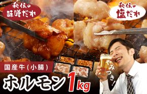 G1155 国産 牛肉 ホルモン 1kg 味付けMIX 味噌／塩だれ 焼肉用 小分け 250g×4P