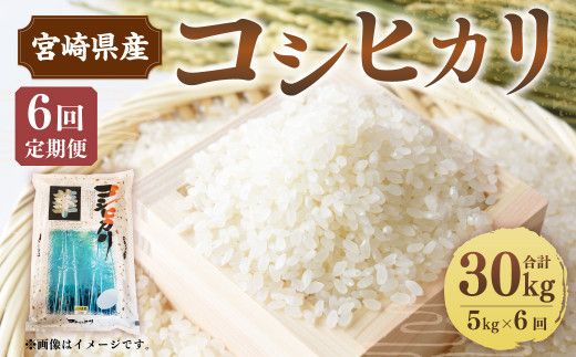 ＜6ヶ月定期便 宮崎県産コシヒカリ5kg＞お申込みの翌月下旬頃に第一回目発送（12月は中旬頃）【c1137_et】