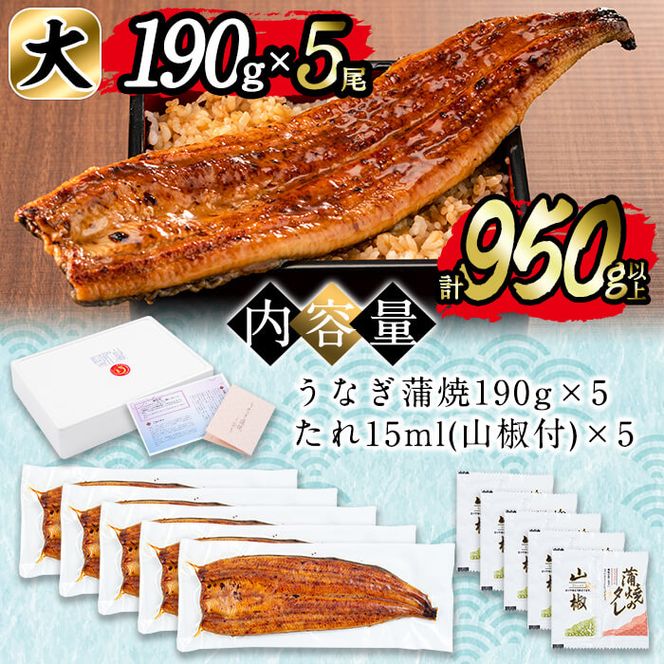 日ノ本一の鰻の蒲焼き＜大＞5尾セット(計950g以上) d2-004（鹿児島県