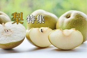 ふるさと納税でもらえる「梨」の人気返礼品ランキング！