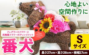 フレグランスフラワー＆光触媒エコフラワー 番犬くん Sサイズ フローリスト萬 《45日以内に出荷予定(土日祝除く)》岡山県 笠岡市 送料無料 母の日 プレゼント アレンジフラワー 枯れない---A-206---