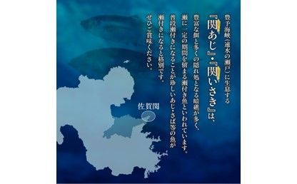 【E04022】関あじ・関いさき（鮮魚）セット（各1尾）