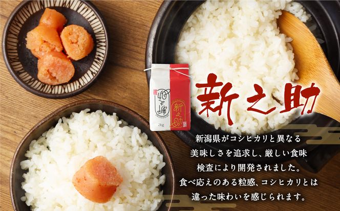 【新米受付・令和8年産米】NA4152 新潟県村上市岩船産　新之助　精米2kg×3個セット
