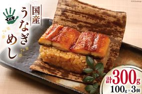 【ての字】 うなぎ 国産 鰻めし 100g ×3 [静岡伊勢丹 静岡県 吉田町 22424183] ウナギ 鰻 蒲焼 蒲焼き おこわ おにぎり 冷凍 ての字