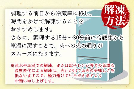 ＜宮崎牛ウデ すき焼き・しゃぶしゃぶ用 500g＞翌月末迄に順次出荷【a0297_em_x3】