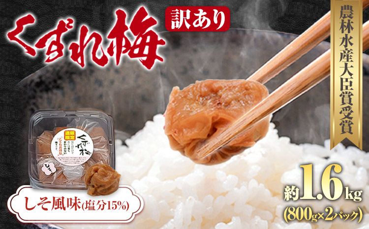 訳あり 紀州南高梅 くずれ梅 しそ風味 1.6kg 農林水産大臣賞受賞[30日以内に出荷予定(土日祝除く)]ウェブセラータクティクス 和歌山県 日高川町 梅干し 塩分 15% 漬け物 ごはんのお供 白ごはん 訳あり梅干し うめぼし---wshg_wst15_30d_24_14000_1600g---