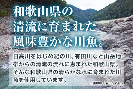 「旨いはずです。」特選あゆ一夜干しセット(13枚入) 日高川漁業協同組合《90日以内に出荷予定(土日祝除く)》 和歌山県 日高川町 あゆ 鮎 魚 一夜干し---wshg_fhgtayuh_90d_22_14000_13p---