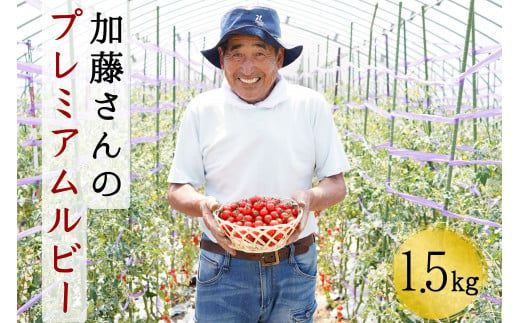 加藤さんのプレミアムルビー　1.5kg　北海道産高糖度フルーツミニトマト