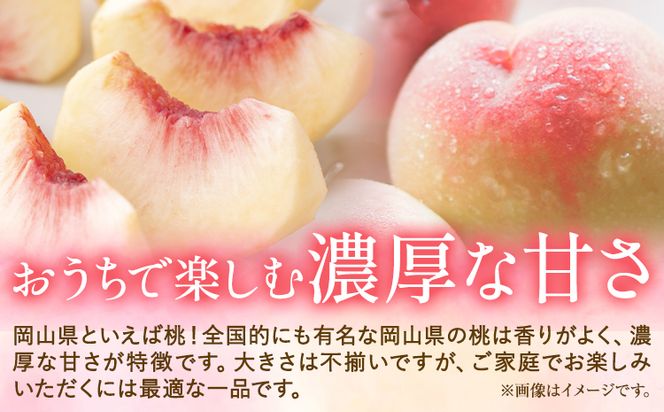 ご家庭用 おかやまの桃 約900g(大玉3玉) 令和6年産 先行予約  《7月上旬-8月下旬頃出荷(土日祝除く)》 桃 晴れの国おかやま館 フルーツ 果物 果実 岡山県 笠岡市---A-179b---