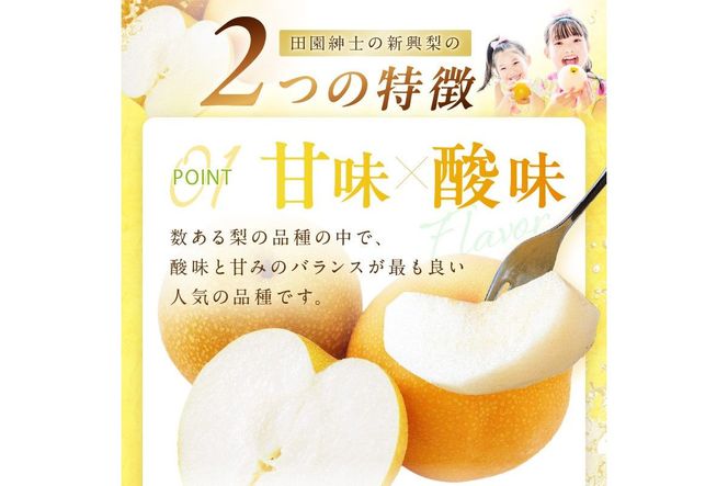 【先行予約／数量限定500】新興梨（秀品） 5kg（7～12玉）（2026年9月下旬～発送）　DE00164