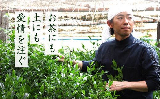 【全6回定期便】奥八女星野村 深蒸し高級煎茶(深蒸し茶)100g×1袋　6回コース《築上町》【株式会社ベネフィス】 八女茶[ABDF026]