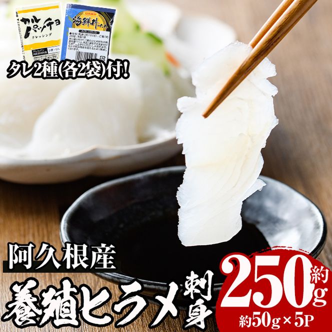 yvszs\tI2025N12{ȍ~\聄vY Yqhg(50g×5pbN)Y {B q Ђ  Jpb` CN ^yn`Xzakn074-01
