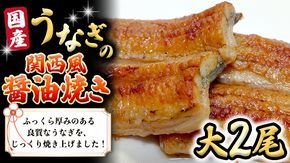 国産 うなぎ の 関西風 醤油焼き 大サイズ 2尾 【 日本料理 ひたち野いしざき 】 鰻 ウナギ 丑の日 土用の丑の日 土用 グルメ お取り寄せ お土産 贈り物 贈答 お祝い 記念日 ギフト おいしい 美味しい [BO002us]