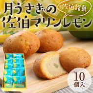 月うさぎの佐伯マリンレモン (計10個) レモン レモンケーキ スイーツ スウィーツ 菓子 焼き菓子 洋菓子 おやつ セット 個装 大分県 佐伯市【ER002】【(株)古川製菓】