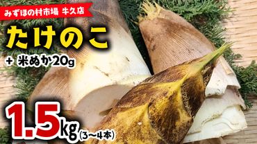 茨城県産 たけのこ 1.5kg ( 米ぬか 付き) 国産 タケノコ 筍 野菜 煮物 炊き込みご飯 料理 旬 [AM012us]