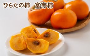 ひらたの柿　富有柿【1-095】