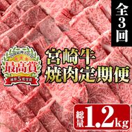 ＜定期便・全3回(連続)＞宮崎牛焼肉定期便(総量1.2kg) 牛肉 もも 肉  焼肉 肩ロース ウデ BBQ 精肉 お取り寄せ 黒毛和牛 ブランド和牛 冷凍 国産【R-83】【ミヤチク】